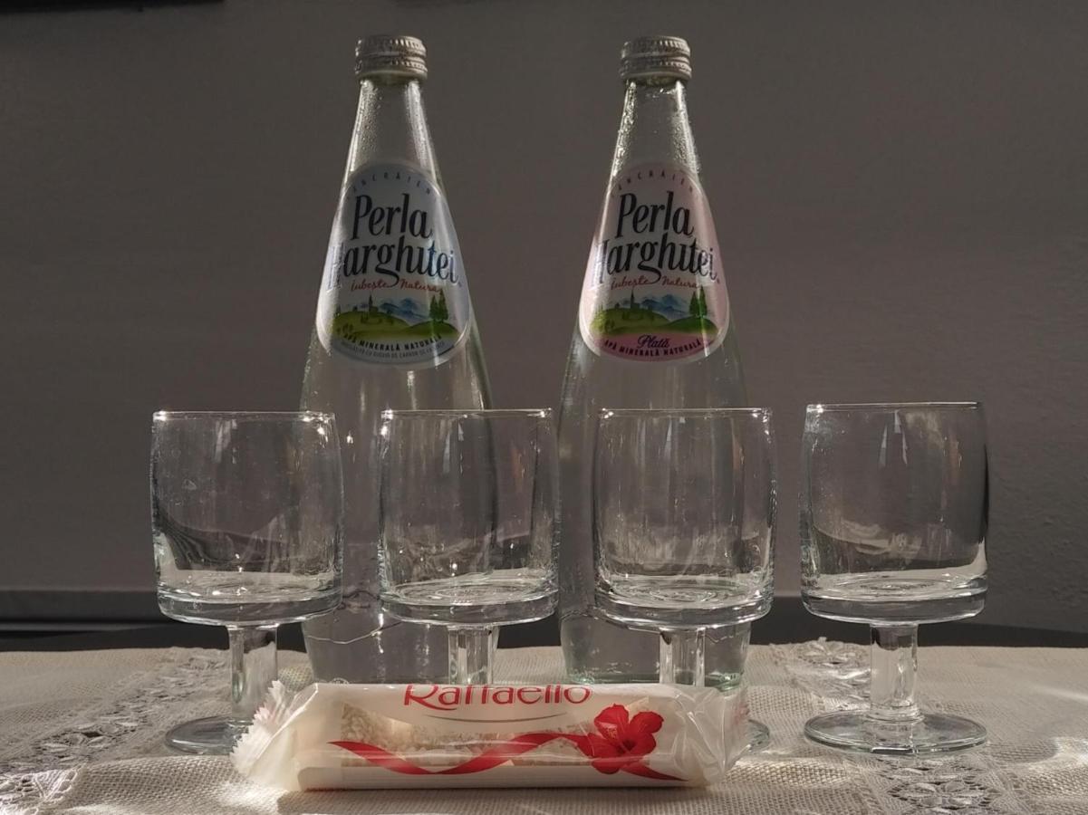 Hotel Hunnia - Huntanya Vlahita Zewnętrze zdjęcie